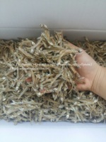 Produit Spécial du Vietnam : Anchois Séchés (Variété GLOBEFISH) Certifiés HACCP, 10kg/carton, Prix Bas en Gros, M. Kevin