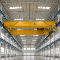 Pont roulant à double poutre fiable de 10 tonnes pour la manutention de faisceaux de tubes en acier dans les usines de tubes, avec une structure en acier robuste