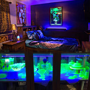 USB DC5V AC85V-265V Étape <span class=keywords><strong>UV</strong></span> Noir LED <span class=keywords><strong>Tube</strong></span> Lumière Agent Fluorescent Détection 5W <span class=keywords><strong>10W</strong></span> T5 T8 LED <span class=keywords><strong>UV</strong></span> <span class=keywords><strong>Tube</strong></span> - Product Image 3