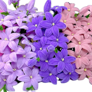 Fleurs de lys artificielles en chenille faites à la main en gros pour mariages, fêtes et bouquets cadeaux - Product Image 1