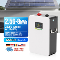 Système d'énergie solaire hors réseau, batterie au phosphate de fer et de lithium 24V 100Ah 200Ah 300Ah, stockage mural avec équilibrage actif