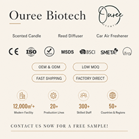 Coffret Cadeau Luxe Bougies Parfumées en Cire de Soja Naturelle et Diffuseur à Bâtonnets Artisanaux pour Spa à Domicile – Approvisionnement Direct Usine