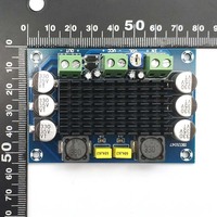 XH-M542 monocanal bricolage haute puissance Mini amplificateur Module TPA3116D2 carte Audio numérique pour un usage domestique