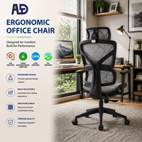 Chaise de bureau en maille chromée, chaise de bureau ergonomique haut de gamme en maille pour un système de soutien adaptatif, solution de travail tout au long de la journée
