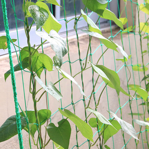 Vườn Bee Thiết Kế Mới 500M Màu Xanh Lá Cây Dưa Chuột Đậu Hỗ Trợ Leo Núi Trellis 170X500M Crop <span class=keywords><strong>Net</strong></span> Dưa Chuột Leo Lên, Dưa Chuột Trialise <span class=keywords><strong>Net</strong></span> - Product Image 1