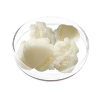 Beurre de karité pur biologique en vrac, emballage de 25 kg, vente en gros, pour les huiles corporelles et cutanées