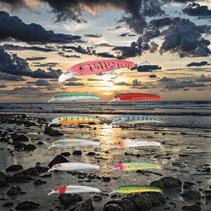 TAKEDO BRAVE MINNOW Haute Qualité 160mm 33g Flottant Top Leurres De Pêche En Eau Dur Appât Minnow Leurre pour Poisson D'eau Salée - Product Image 3