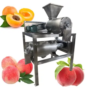 Large capacity 1 Ton Stainless Steel Fruit Pulp Juice Making Machine for Mango Tomato Pulper Equipment for Sale