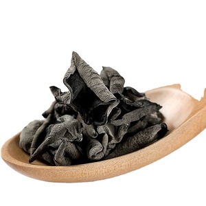 Mu Er Material alimenticio <span class=keywords><strong>Auricularia</strong></span> <span class=keywords><strong>Auricula</strong></span> hongo comestible <span class=keywords><strong>Auricularia</strong></span> seca negra <span class=keywords><strong>Auricula</strong></span>-<span class=keywords><strong>judae</strong></span> a la venta - Product Image 1