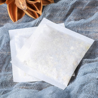 Tisane Bio Fraîche Aromatisée pour l'Allaitement Maternel, Stimule la Production de Lait Maternel, Sachets de Thé Infusé à la Vapeur 100% Pur