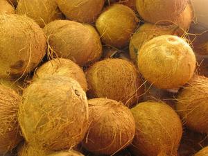 Vietnam-Delta-El MEJOR PRECIO DE COCO semicubierta seco para uso alimentario - Product Image 3