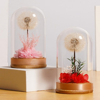 TC venta al por mayor diente de león natural flores preservadas cúpula de cristal decoración del hogar para regalo del Día de San Valentín para novia esposa mamá