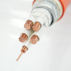 Cable de PVC de Alta Calidad BTTZ con Núcleo de Cobre Ignífugo para Uso Industrial, Certificado ISO9001, 0.6/1KV, Confiable para Aplicaciones Críticas - Product Image 6