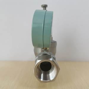 Reductor de Presión de Agua Ajustable PN16 16 bar, Acero Inoxidable 304, Tipo Roscado - Product Image 3