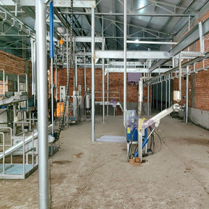 Línea de matadero automático <span class=keywords><strong>Halal</strong></span>, matadero de <span class=keywords><strong>cordero</strong></span> con equipo de carnicero de corte para procesamiento de carne ovina de oveja - Product Image 4
