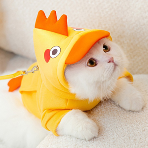 <span class=keywords><strong>Pas</strong></span> <span class=keywords><strong>cher</strong></span> Nouveau Produit Mignon Chat Vêtements Classique Coton Chaud Chien Vêtements Personnalisé Mode Petits Animaux <span class=keywords><strong>Chiot</strong></span> Chat Costume - Product Image 5