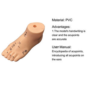 Model akupuntur kaki 13cm, titik akupunktur refleksi kaki manusia, alat bantu mengajar Pijat Model kaki - Product Image 6
