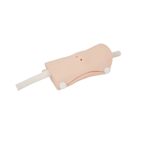 Model Sendi Lutut Manusia Model Artroskopik Lutut Model Injeksi Lutut - Product Image 6