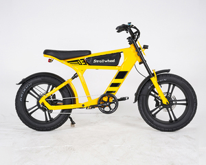 Duitsland Magazijn Voorraad Gratis Verzending 750W 48V Elektrische Fiets Elektrische Fietsen voor Volwassenen 2-Wiel Elektrische Fiets - Product Image 4