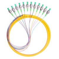 Kabel Patch Serat Optik St Lc Sc Fc Kabel Ftth Apc Upc 1M 1.5M Fibra Optikal 12 Core Pigtail