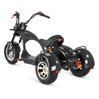 Yeni moda 3 tekerlekli 2000W moda kıyıcı modeli M3 Trike hızlı hızlı elektrikli scooter yetişkin Citycoco elektrikli üç tekerlekli bisiklet