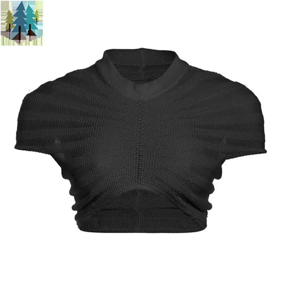 Conjunto de 2 peças de blusa de tricô de manga curta transparente com gola redonda e gola redonda, moda feminina outono primavera e outono
