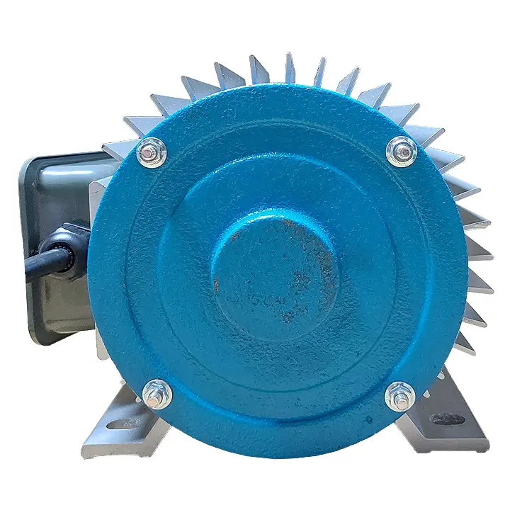 Factory Direct Sell High Quality 0.75Hp Electric Ac Motor Ventilation Fan Motor With Gear