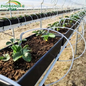 <span class=keywords><strong>Serre</strong></span> tunnel en polyfilm pour la culture des myrtilles en agriculture - Product Image 6