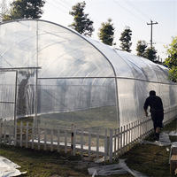 Serre tunnel agricole monopente en acier galvanisé avec bâche PE pour grandes surfaces de culture de légumes