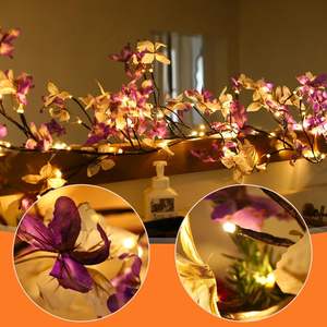 Tsinye ha incantato la vite del salice le luci con la decorazione romantica della farfalla inseriscono per la decorazione del camino di natale della parete - Product Image 3