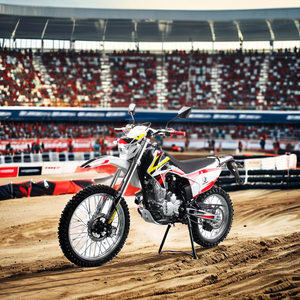 Meilleure vente <span class=keywords><strong>Moto</strong></span> tout-terrain <span class=keywords><strong>4</strong></span> <span class=keywords><strong>temps</strong></span> Motocross <span class=keywords><strong>Enduro</strong></span> Racing <span class=keywords><strong>Moto</strong></span> tout-terrain 250cc 300cc Motos tout-terrain <span class=keywords><strong>4</strong></span> <span class=keywords><strong>temps</strong></span> à vendre - Product Image 2