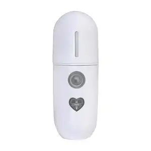 Xu hướng sản phẩm chăm sóc da Mini Phun mặt mát Mist 30ml USB cơ thể máy phun sương mặt Nano Mist Sprayer