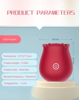 10 Saugdildos Erotikspielzeug Klitoris-Saugmassage Nippel-Rosen-Sauger Vibrator für Frauen