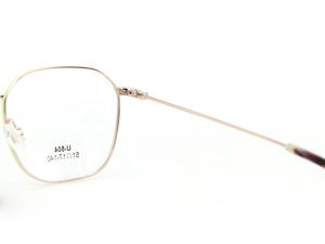 Lunettes unisexes bicolores avec branches ultra-fines et logo personnalisé – Montures optiques métalliques tendance - Product Image 5