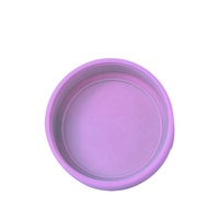 Bouteille d'eau de voyage pour enfants en plastique écologique à double paroi, 300 ml, avec logo personnalisé, démontable, avec poignée, insert en papier DIY, cadeaux
