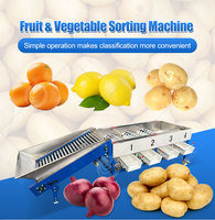 Automatische sorteerlijn voor kersen, olijven en dadels, fruit- en groentesorteermachine, fruitsorteerder