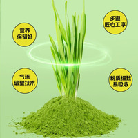 Poudre de jus vert d'orge sans sucre instantanée, best-seller transfrontalier, en boîte - Vente en gros fabricant