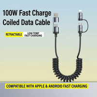 Kabel Pengisian Cepat 65W 2-in-2 Spiral Reversibel dengan Konektor Tipe-C, Pengisian Cepat 5A/3A untuk Ponsel IOS