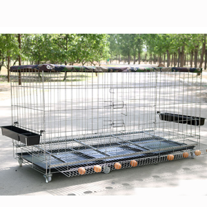 Gabbie per galline in filo zincato antiruggine a maglia cubica 5x10 cm, con filo da 2,5 mm, 3 mm e porta, pieghevoli, per allevamento e recinzione - Product Image 3