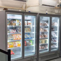 Réfrigérateur commercial à porte vitrée avec refroidissement par air, série DDB, congélateur multi-étagères pour épicerie
