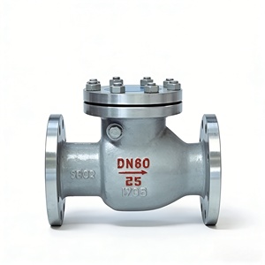 วาล์วกันกลับแบบสวิง DN60 PN25 WCB เหล็กกล้าคาร์บอน สำหรับท่ออุตสาหกรรม - Product Image 2