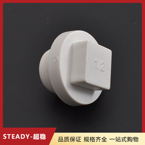 Ppr Pipe Plug 4 Inch With <b>Rubber</b> Seal External Thread White <b>Plastic</b> For Plumbing - Product Image 5