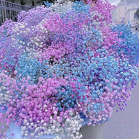 Bouquets de fleurs séchées à l'haleine de bébé conservés à la mode fleurs moelleuses idéales pour les bouquets de mariage voiles de mariée et Boho Home Decor