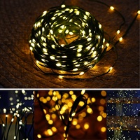 Nuevas Luces LED de Cadena para Decoración Navideña de Exterior, Impermeables IP65, de Bajo Voltaje, con Control Remoto, Decorativas para Jardín