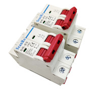 SeanRo 550V מיניאטורי מעל מתח הגנת מפסק DC 2 מוט MCB מחיר