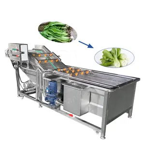 Máquina de secado de línea de lavado de vegetales de tomate de burbuja industrial