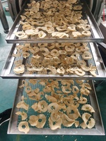 TCA Commerciële Hoge Kwaliteit Bananen- en Plantainchipsmachine, Plantainchips Verwerkingslijn Machine
