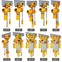 Palans électriques à chaîne de type crochet de haute qualité 1T 5T 10T 15T 20T 25T 30T, palans électriques industriels à chaîne pour levage