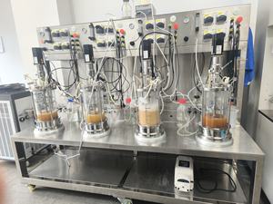 Máquina de producción de bioetanol, fermentador de vidrio para laboratorio - Product Image 4