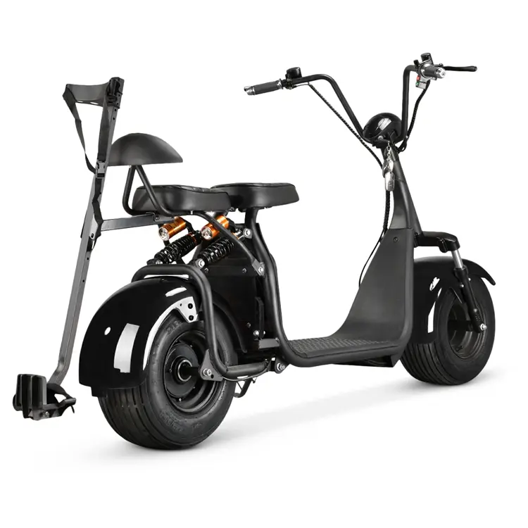 2 Wheel Fat Tire All Terrain 2 Seat Mobility Electric Golf Cart Scooter With Electric Double Seats